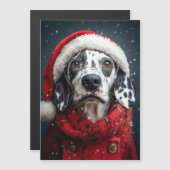 Feestelijke Dalmatiër in Kerstmannenoutfit (Voorkant / Achterkant)