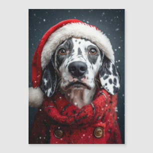 Feestelijke Dalmatiër in Kerstmannenoutfit