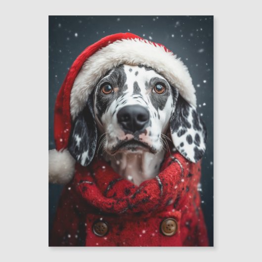 Feestelijke Dalmatiër in Kerstmannenoutfit (Voorkant)