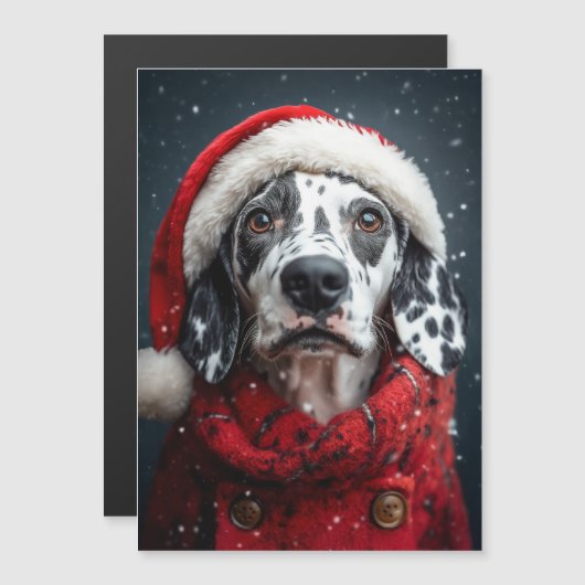 Feestelijke Dalmatiër in Santa Attire (Voorkant / Achterkant)