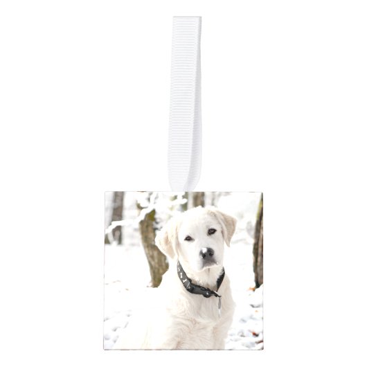 feestelijke feestkerst decoratie (Voorkant)