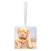 feestelijke feestkerst decoratie (Rechts)