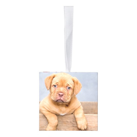 feestelijke feestkerst decoratie (Rechts)