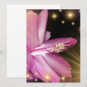 feestelijke gekleurde bloem motief (Voorkant / Achterkant)