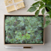 Feestelijke Groene Holly Berry Kerst Tissuepapier (Geschenk)