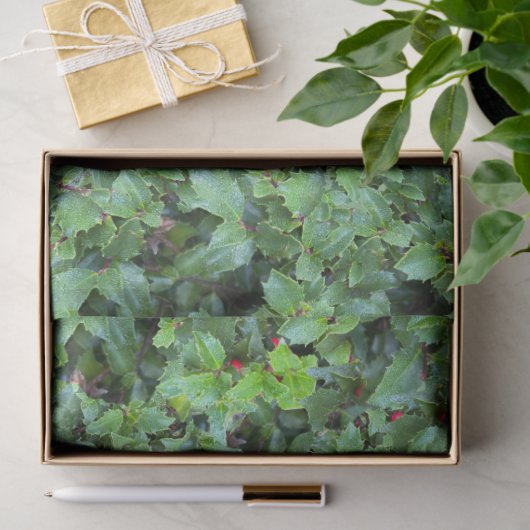 Feestelijke Groene Holly Berry Kerst Tissuepapier (Geschenk)