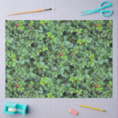 Feestelijke Groene Holly Berry Kerst Tissuepapier (Craft)