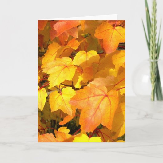 Feestelijke herfstkleuren Kaart (Voorkant)