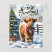 Feestelijke Highland koe bericht toevoegen Briefkaart (Voorkant)