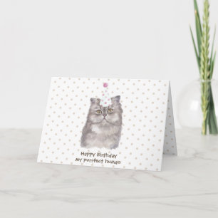 Feestelijke hoed Perzische kat Verjaardag Kaart