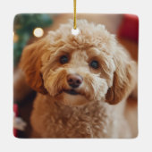 Feestelijke Hond Foto Kerst Rode Poinsettia Bloeme Keramisch Ornament (Achterkant)