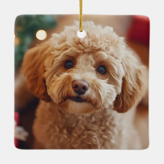 Feestelijke Hond Foto Kerst Rode Poinsettia Bloeme Keramisch Ornament (Achterkant)