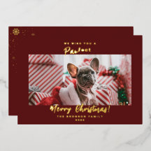 Feestelijke huisdierfoto Vrolijk kerstfeest Folie