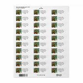 Feestelijke kat en kerstboom labels (Full Sheet)