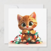 Feestelijke kat met twinkelende lichtjes feestdagenkaart (Voorkant)