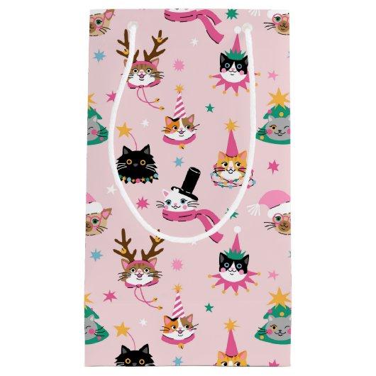 Feestelijke Kattengezichten in Vakantie Petten Pat Klein Cadeauzakje (Voorkant)