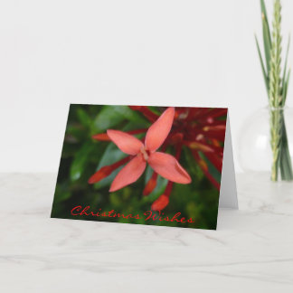 Feestelijke kerst Ixora Blossom Feestdagen Kaart