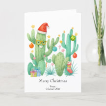 Feestelijke Kerstcactus met Santa Hat & Ornament