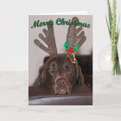 feestelijke kersthond met glitter Antlers Feestdagen Kaart (Voorkant)