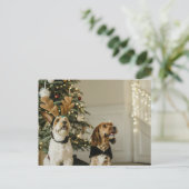 Feestelijke Kersthonden Holiday Cheer Briefkaart (Staand voorkant)