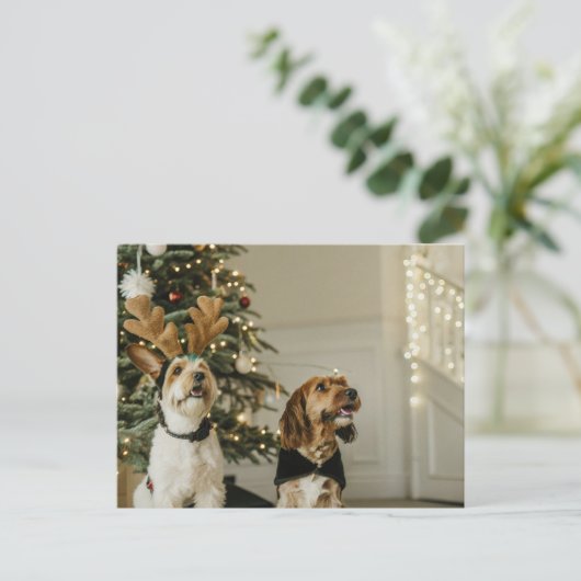 Feestelijke Kersthonden Holiday Cheer Briefkaart (Staand voorkant)