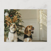 Feestelijke Kersthonden Holiday Cheer Briefkaart (Voorkant)