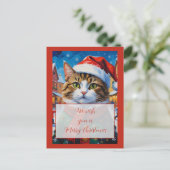 Feestelijke Kerstkat in Sinterklaashoed Briefkaart (Staand voorkant)