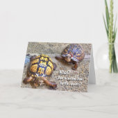 Feestelijke kerstschildpadden kaart (Voorkant)