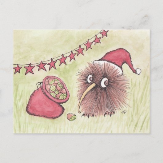 Feestelijke Kiwi Bird Santa Feestdagenkaart (Voorkant)