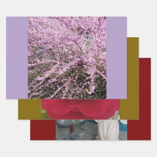 Feestelijke & kleurrijke, verpakkende papieren vel (Set)