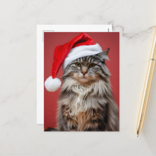 Feestelijke Maine Coon Kat in Kerstman Hoed Kerstm Feestdagenkaart