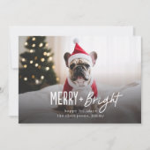 Feestelijke Merry Bright Moderne Hond Foto Kerstmi Feestdagenkaart (Voorkant)