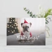 Feestelijke Merry Bright Moderne Hond Foto Kerstmi Feestdagenkaart (Staand voorkant)