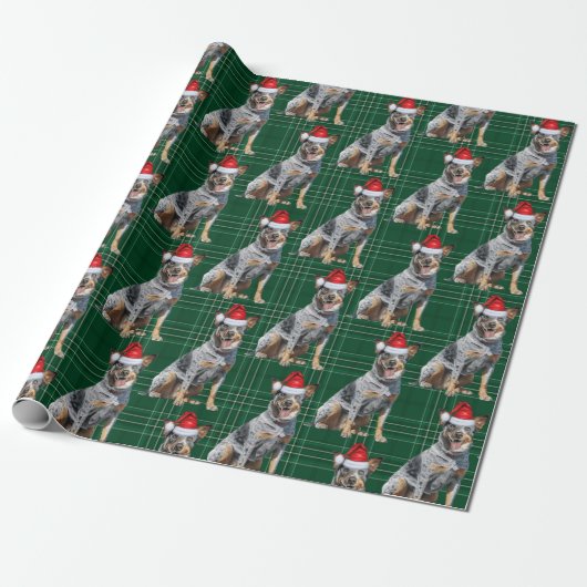Feestelijke Plaid Blue Heeler Santa Dog Kerstmis Cadeaupapier (Uitgerold)