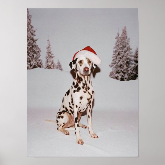 feestelijke pup poster (Voorkant)