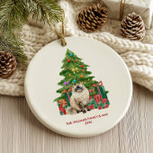 Feestelijke Ragdoll Kat Kerstversiering Keramisch Ornament