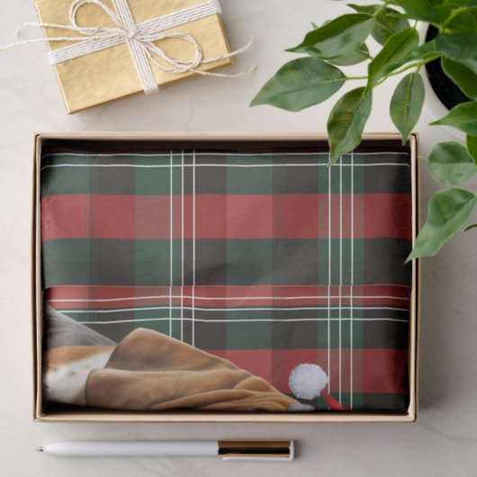 Feestelijke Red Green Plaid en Basset Hound Kerstm Tissuepapier (Geschenk)