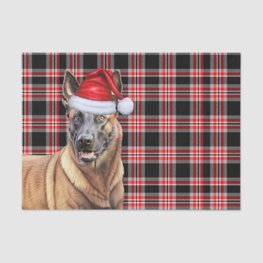 Feestelijke Red Plaid Belgische Mechelse Hond Kers Tissuepapier (Voorkant)