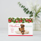 Feestelijke Rhodesian Ridgeback Christmas Briefkaa Feestdagenkaart (Staand voorkant)
