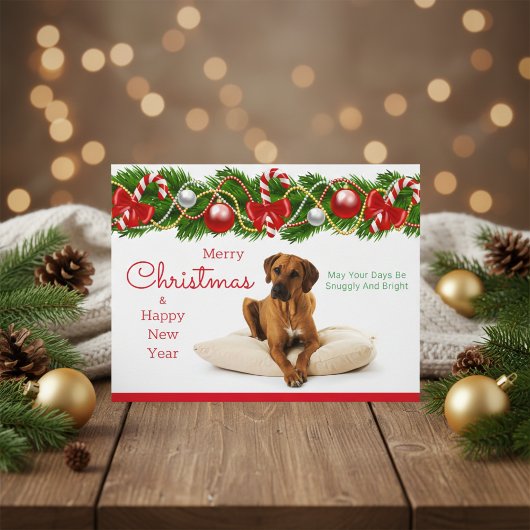 Feestelijke Rhodesian Ridgeback Christmas Briefkaa Feestdagenkaart
