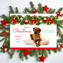 Feestelijke Rhodesian Ridgeback Christmas Briefkaa