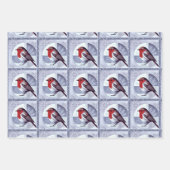 Feestelijke Robin Christmas Design multipack Inpakpapier Vel (Voorkant)