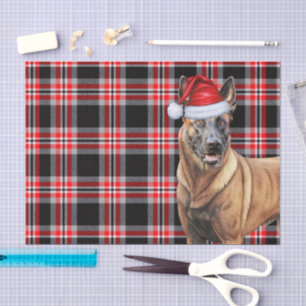 Feestelijke Rode Plaid en Belgische Mechelse Kerst Tissuepapier
