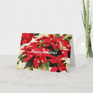 Feestelijke Rode Witte Bloemige Poinsettia Bloemen Feestdagen Kaart