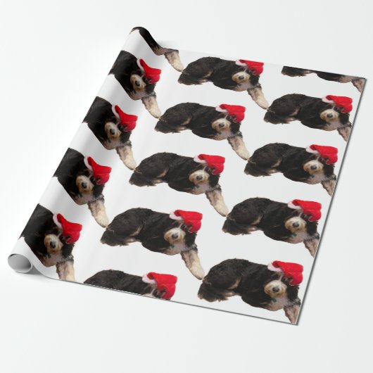 Feestelijke & schattige bernedoodle met een kerstm cadeaupapier (Uitgerold)