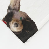 Feestelijke & schattige bernedoodle met een kerstm fleece deken (Hoek)