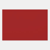 Feestelijke schimmels inpakpapier vel (Voorkant 2)