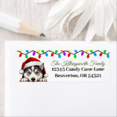 Feestelijke Siberische Husky Kerstmis retour label (Insitu)