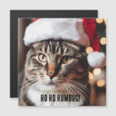 Feestelijke Tabby (Voorkant / Achterkant)