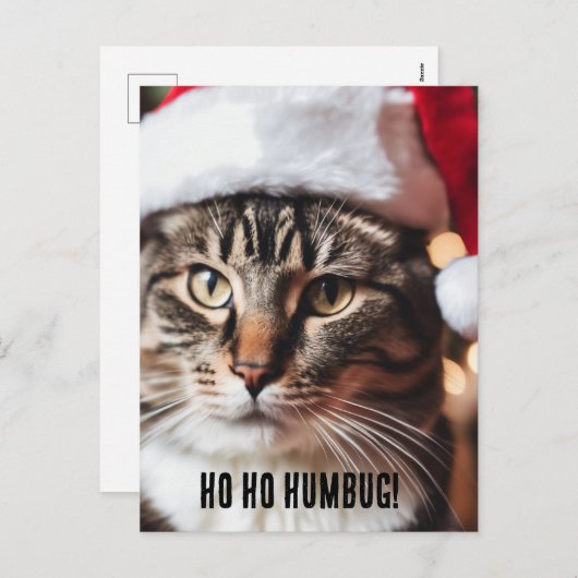 Feestelijke Tabby Feestdagenkaart (Voorkant / Achterkant)